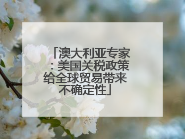 澳大利亚专家：美国关税政策给全球贸易带来不确定性